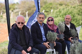 Gemlik Belediyesi Lavanta Bahçesi Kuruyor